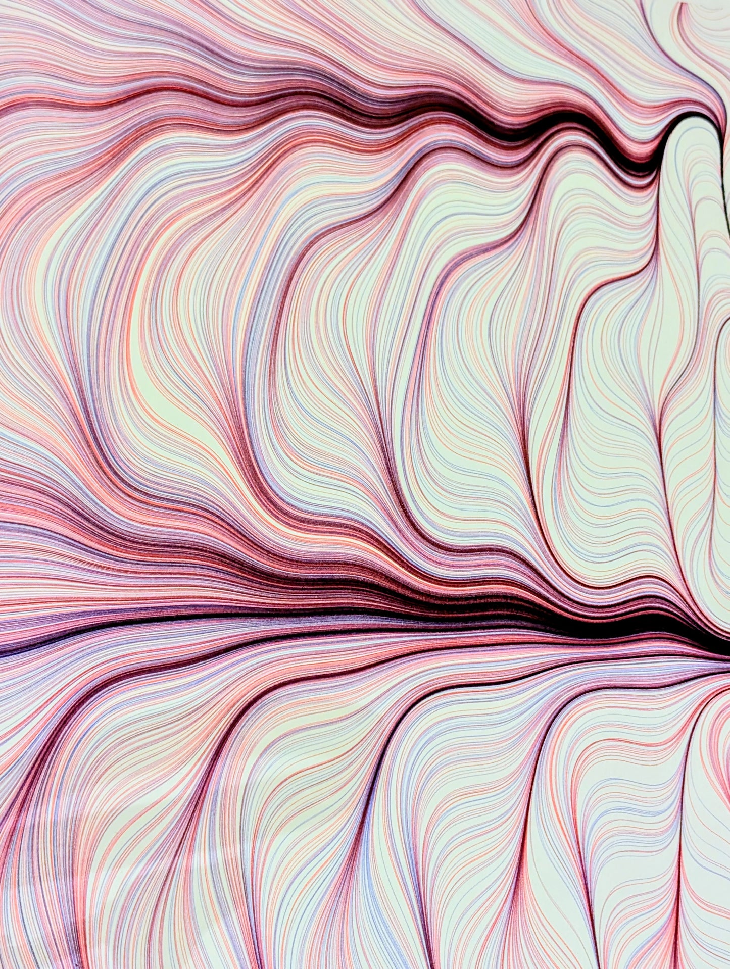 'Flow Field 1'